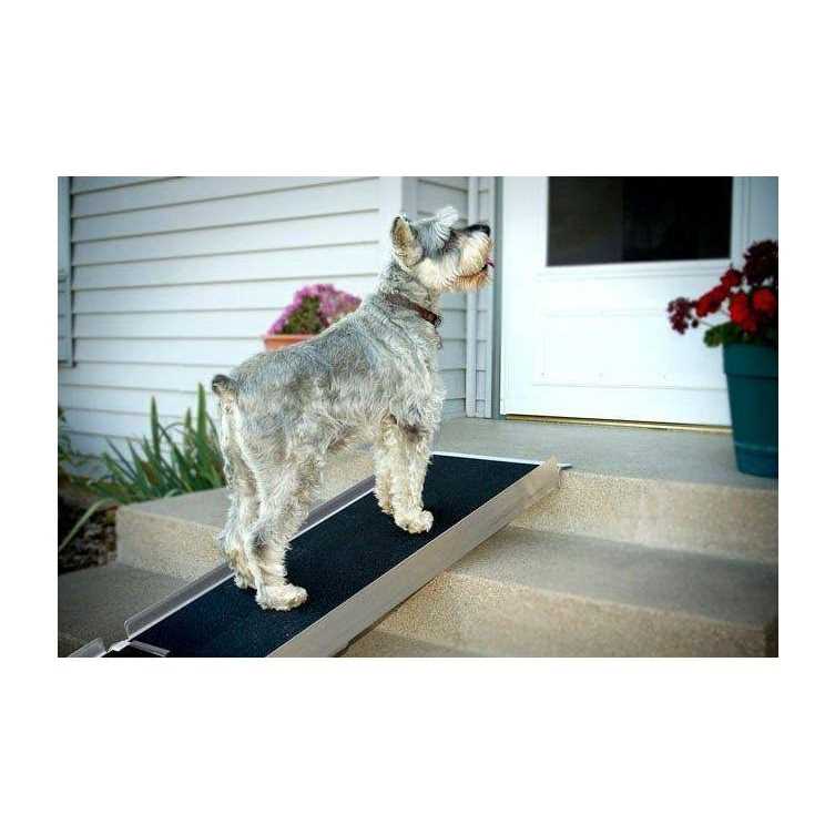 Telescoping Ramp D248