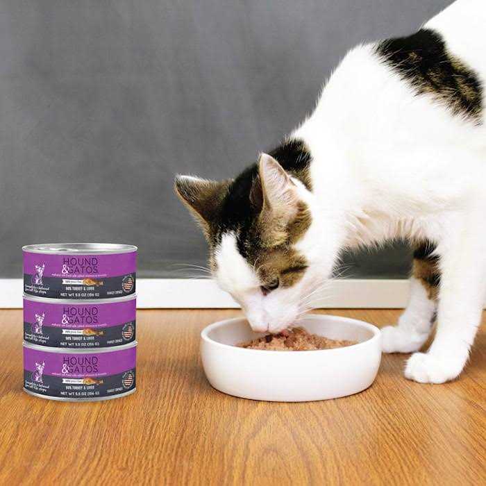 Canned Cat Food 5.5oz Liver V15719