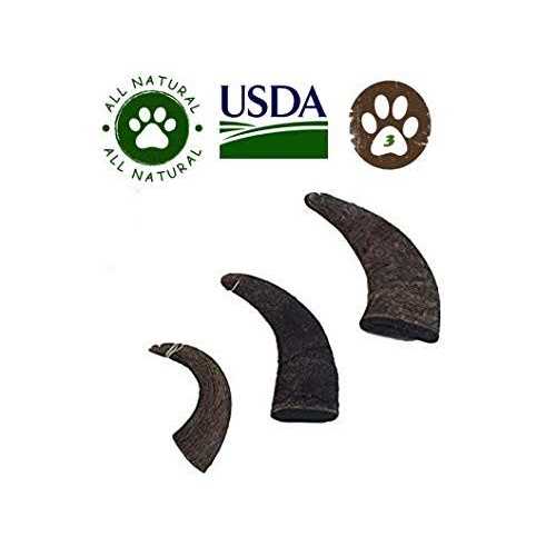 Natural Water Buffalo Horns Dog Treats I290