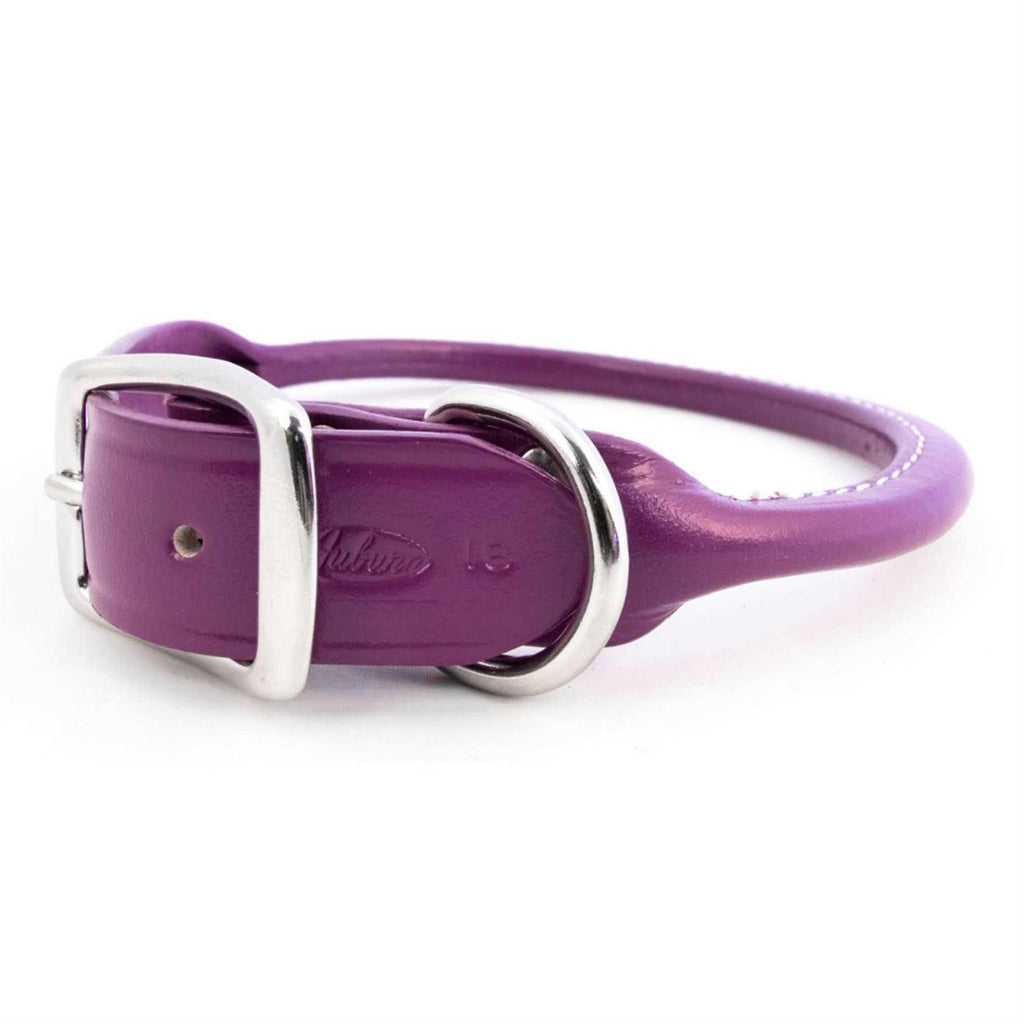 Leather Rolled Dog Collar R776