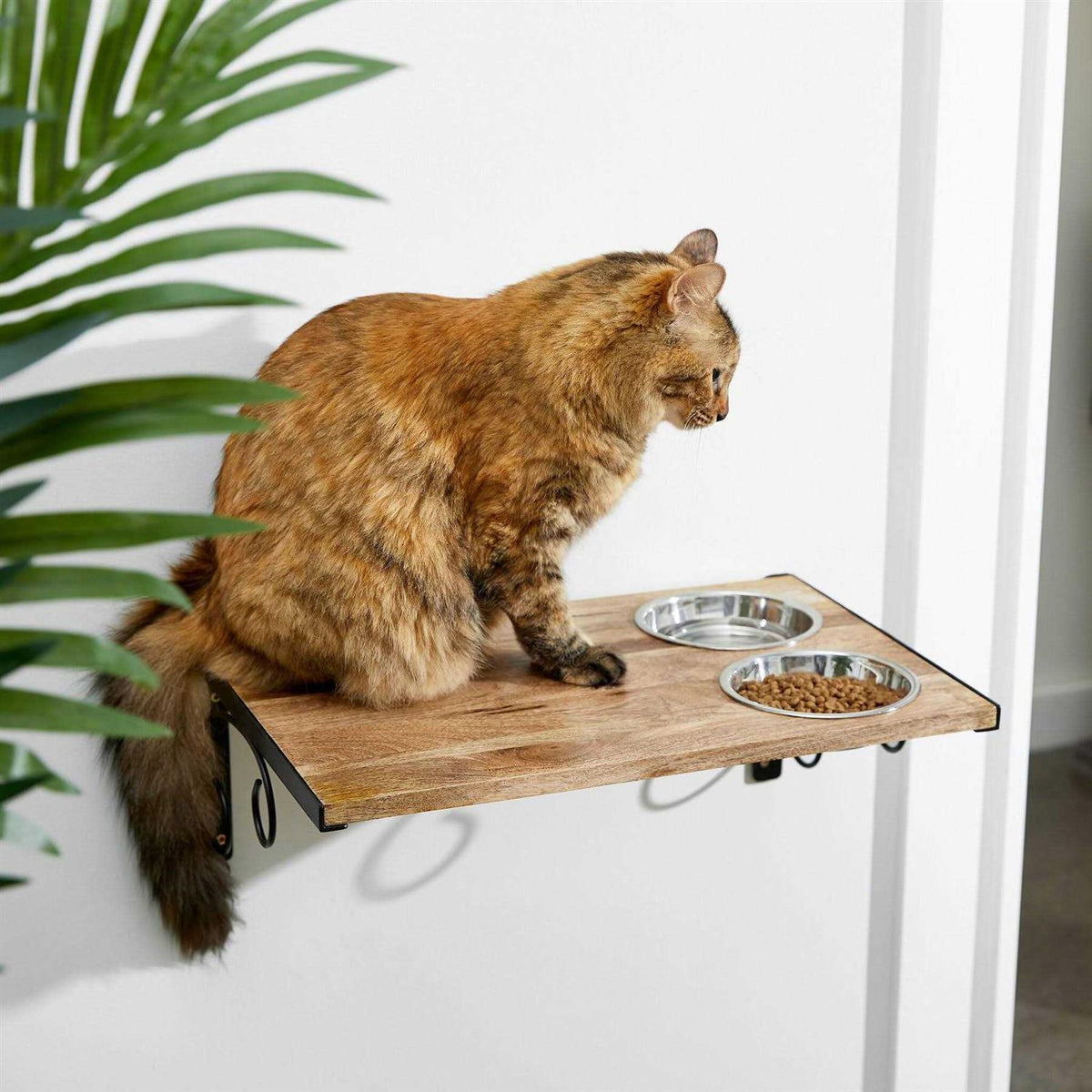 Wooden Wall Mounted Stainless Steel Cat Feeding Station with Bowl B6580