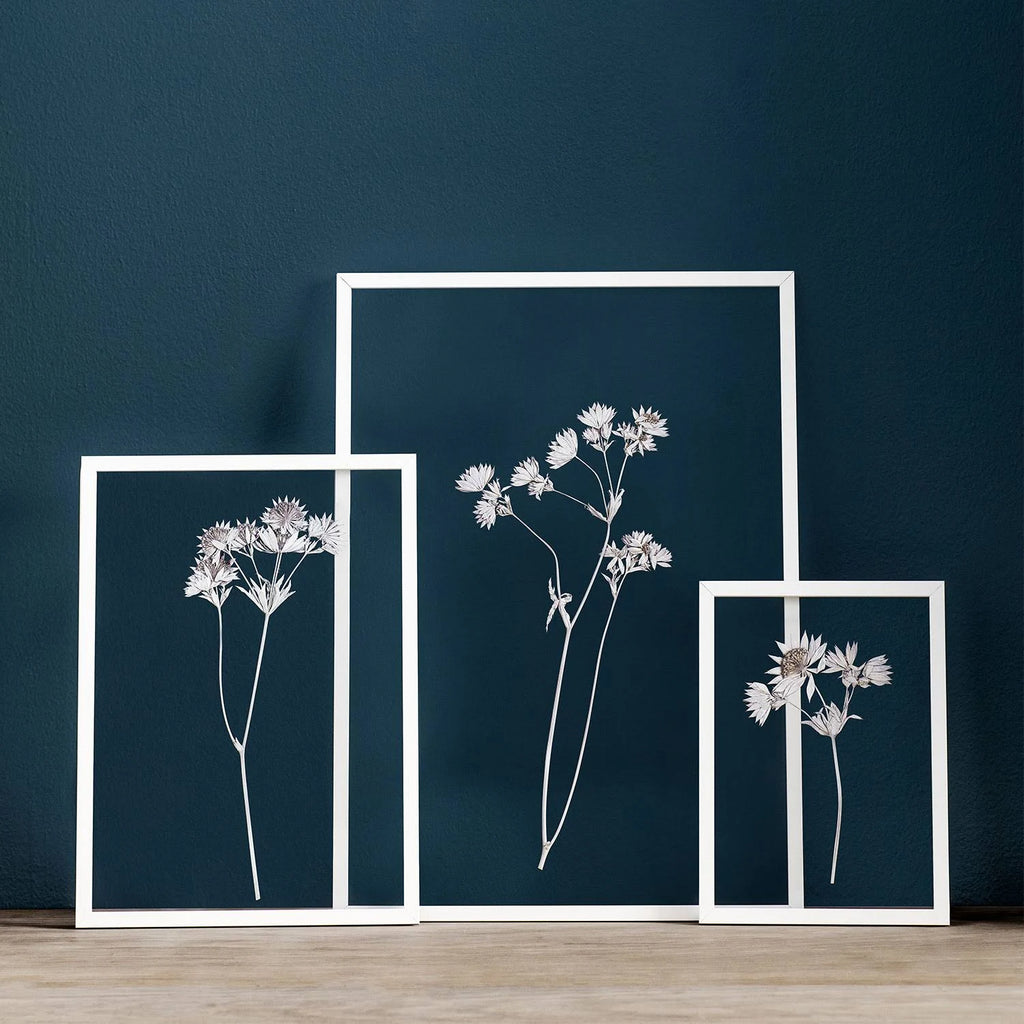 A2 White Photo Frame E1990