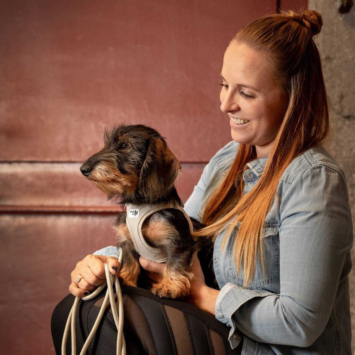 Air-Mesh Dog Harness L88250