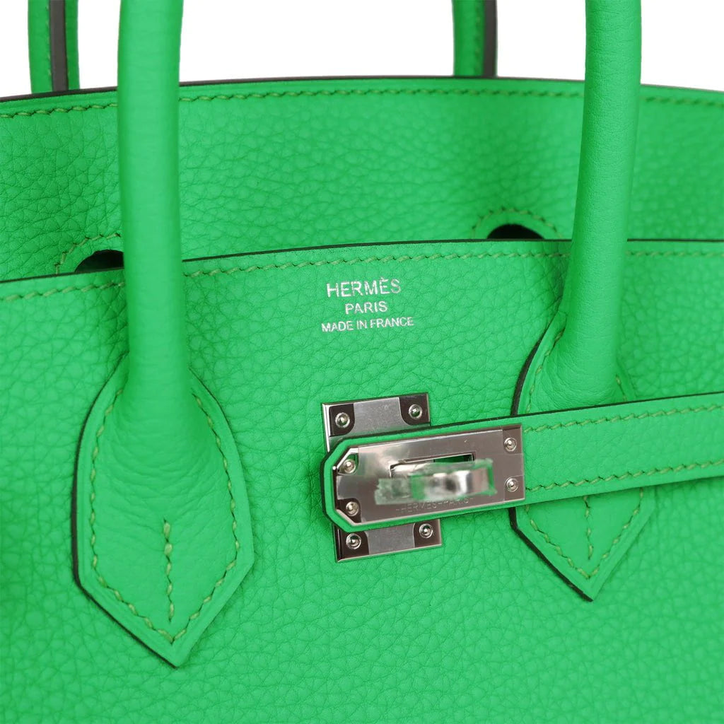 Birkin 25 Togo Palladium Hardware N24383