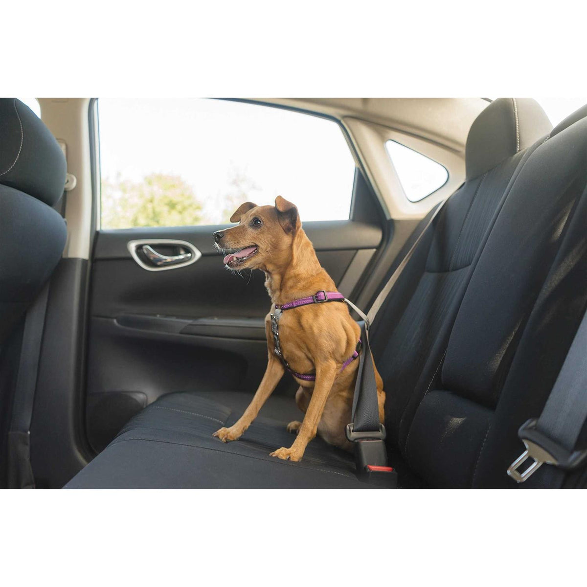 3 in 1 Harness P4450
