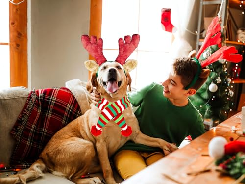 Christmas Reindeer Antler Headband for Dog P296