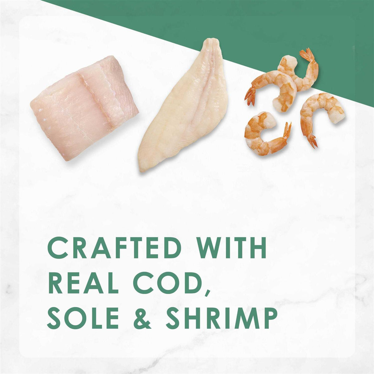 Cod Sole & Shrimp Pate Wet Cat Food R422407