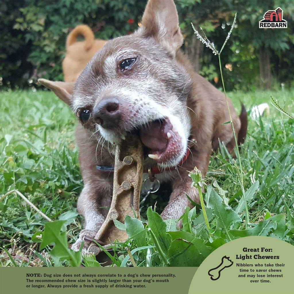 Dental Dog Chew F8199