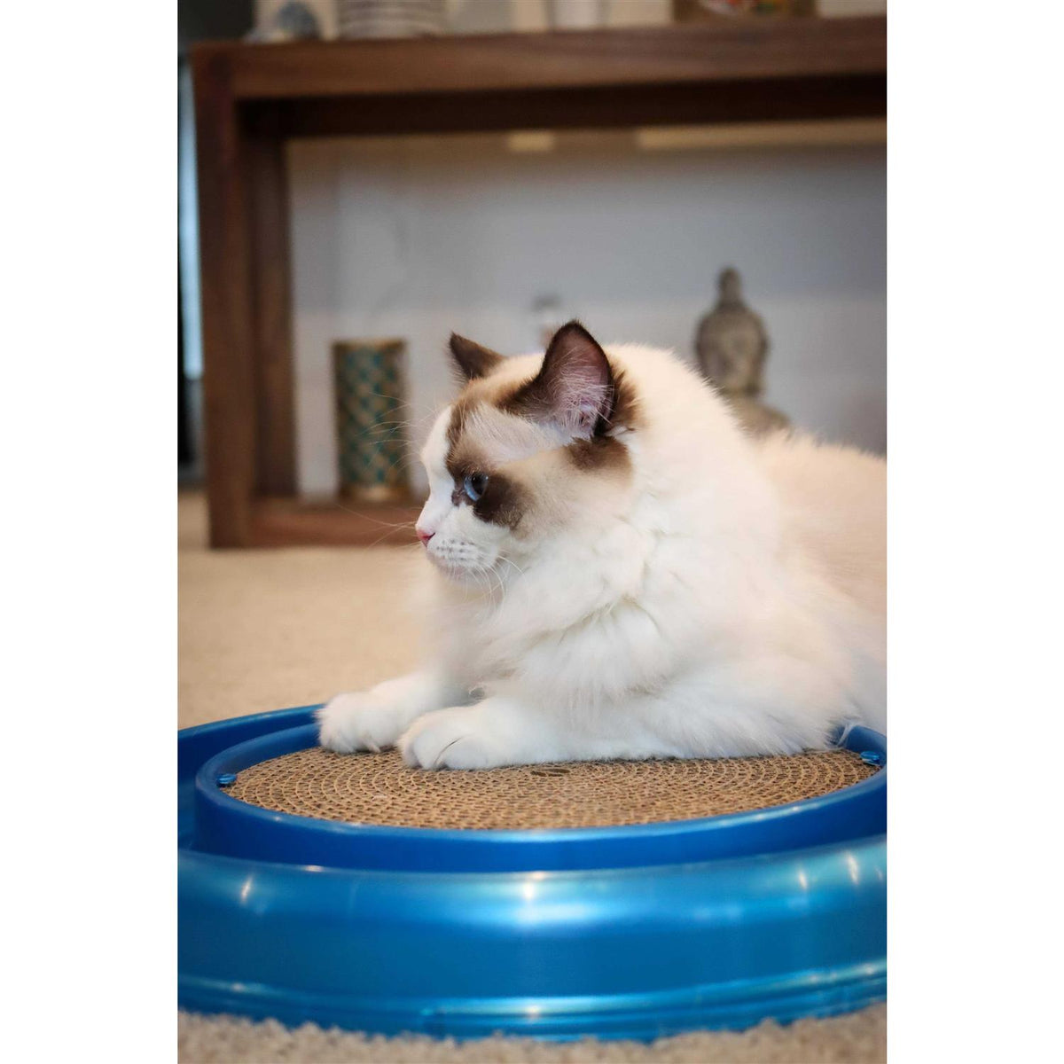 Interactive Cat Toy D8974
