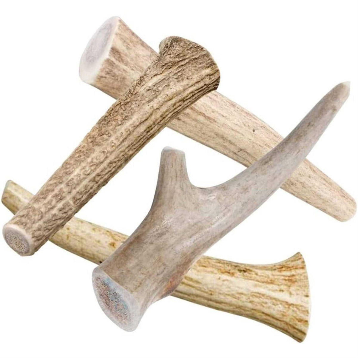 All Natural Whole Deer Antler Dog Chew Treats S597