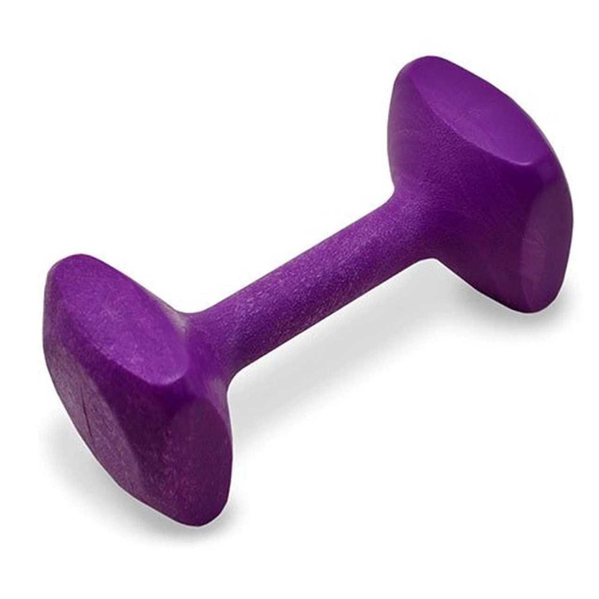 Dog Obedience Retrieving Dumbbell N952097