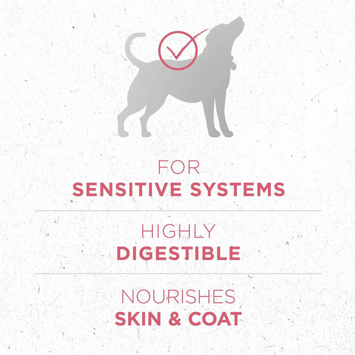 Dry Dog Food J46657