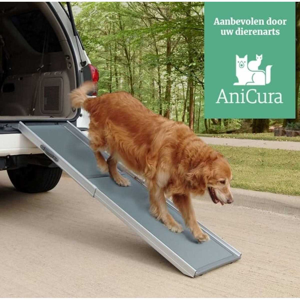 Telescoping Ramp D248