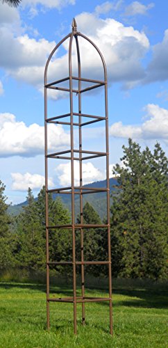 Large Obelisk for Climbing Garden Plants Weather Resistant Iron and Metal Vertical Yard Art N16349