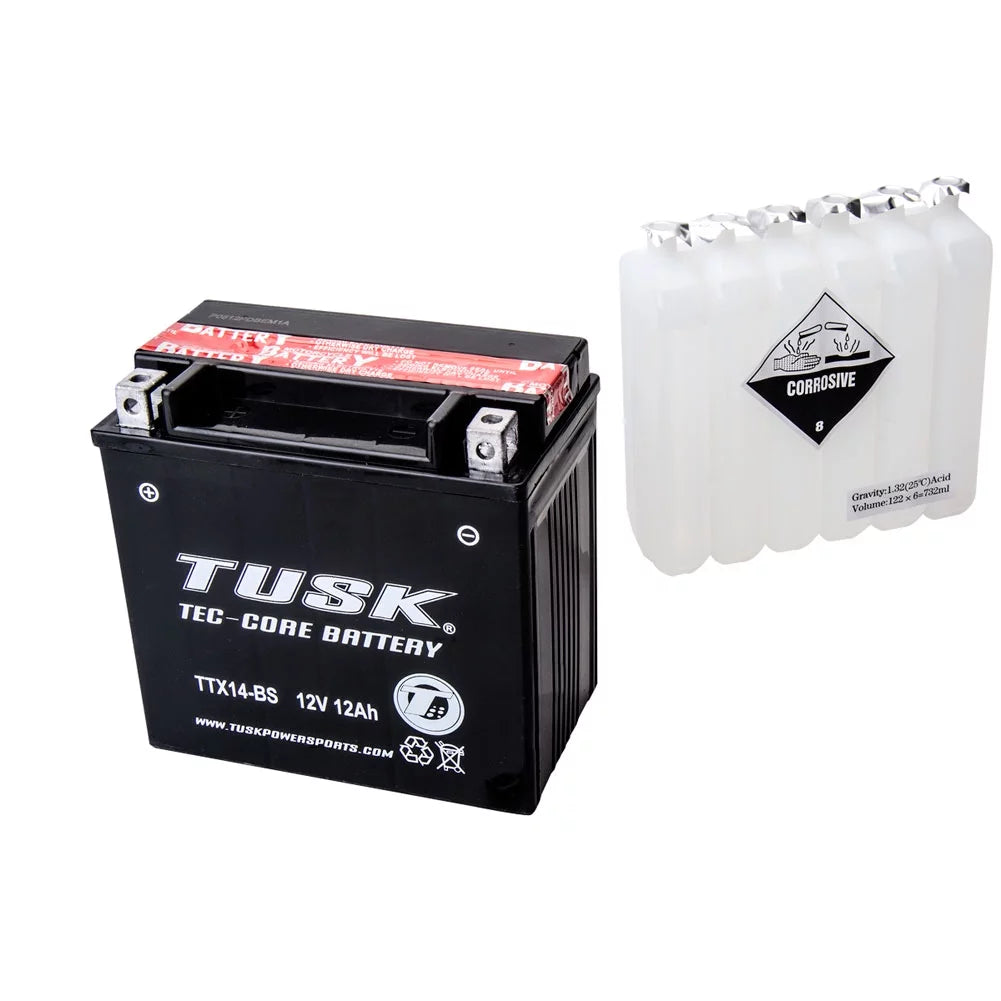 Maintenance-Free Battery V8674