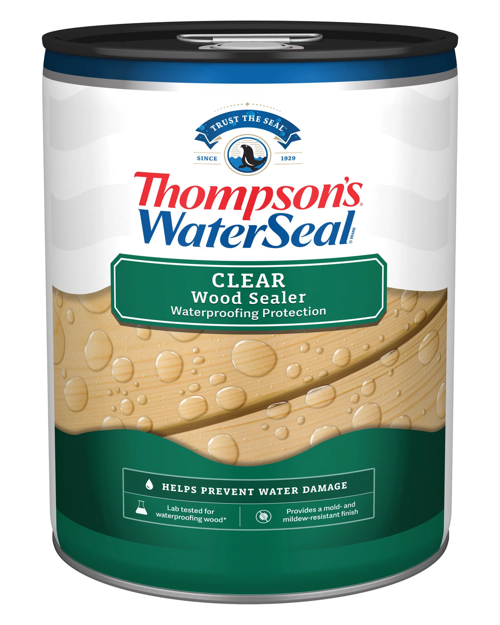 Clear Wood Sealer, 5 Gallon Y844214