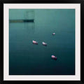 Photographic Print Black Frame 20x22 F923