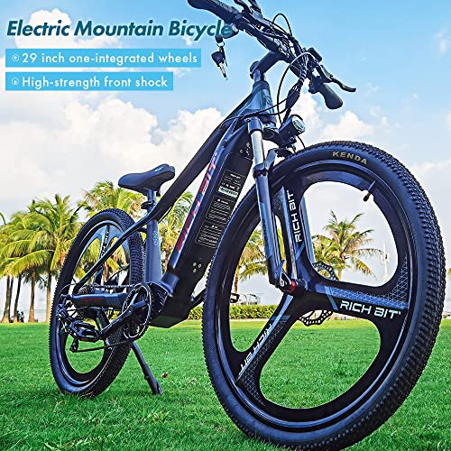 29inch Fat Tire Electric Mountain Bike with 500w 48v Removable Battery B9817