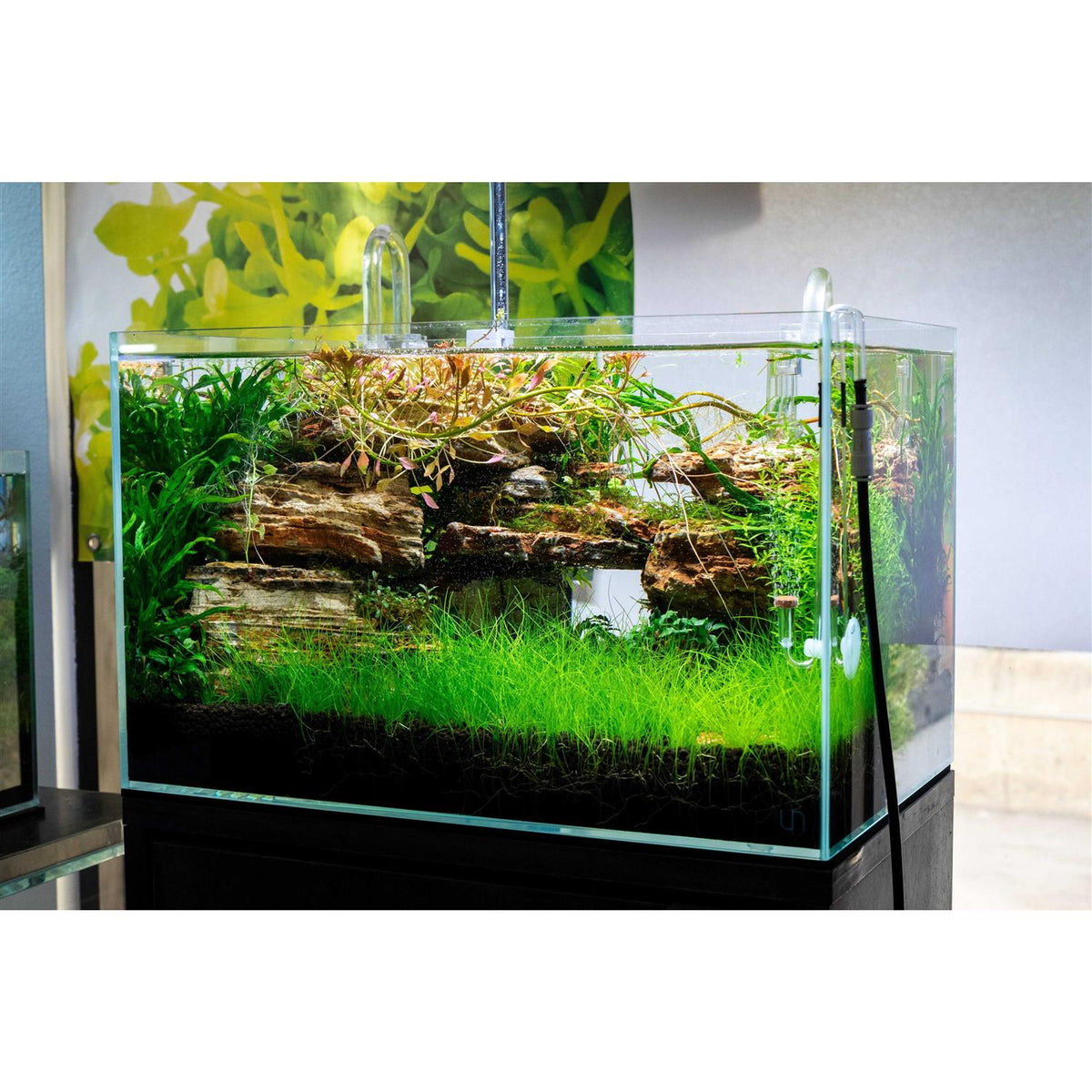 Rimless Aquarium 9 gallons Z1176