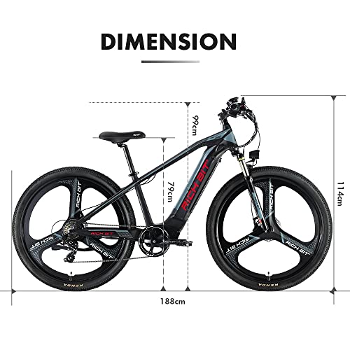 29inch Fat Tire Electric Mountain Bike with 500w 48v Removable Battery B9817
