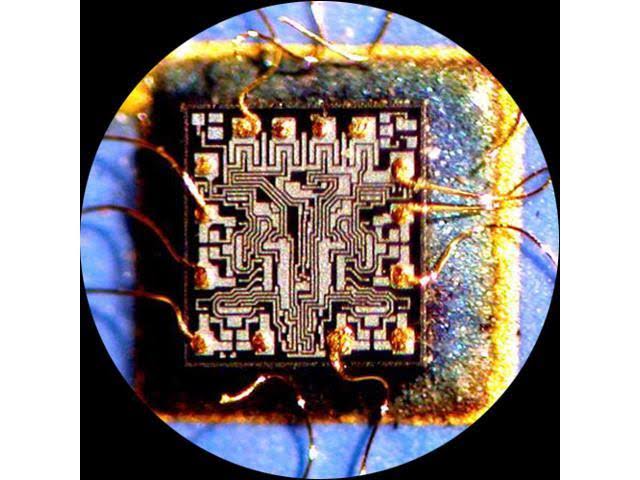 Trinocular Stereo Zoom Microscope with WH10x Eyepieces W36061