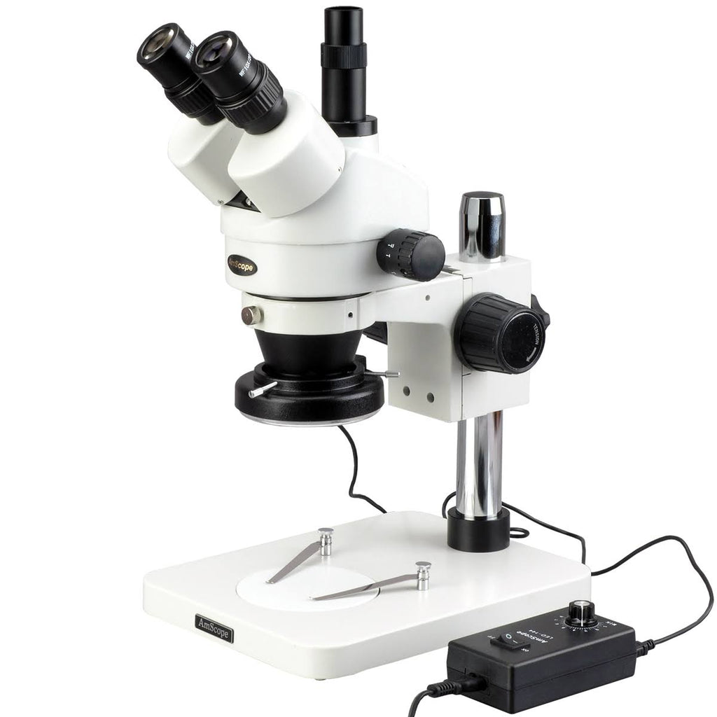 Trinocular Stereo Zoom Microscope with WH10x Eyepieces W36061