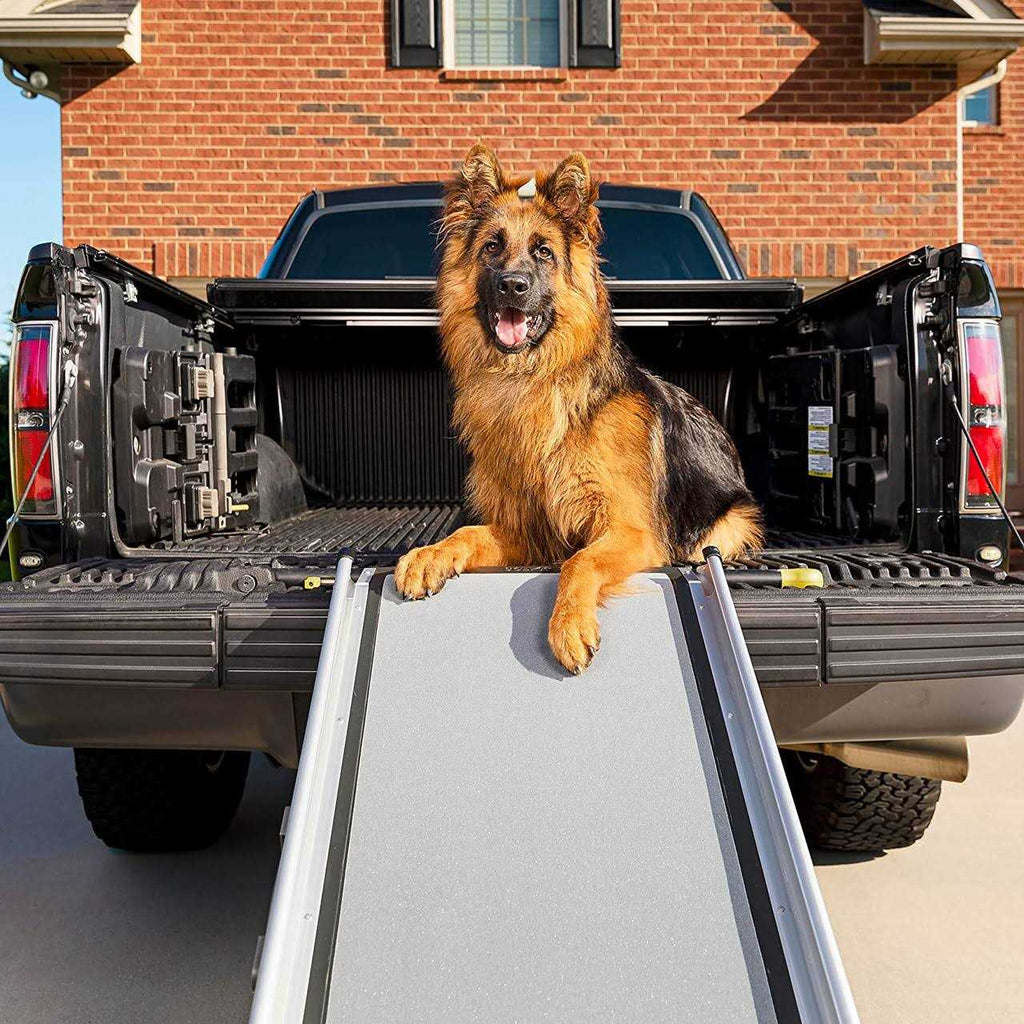Telescoping Ramp D248
