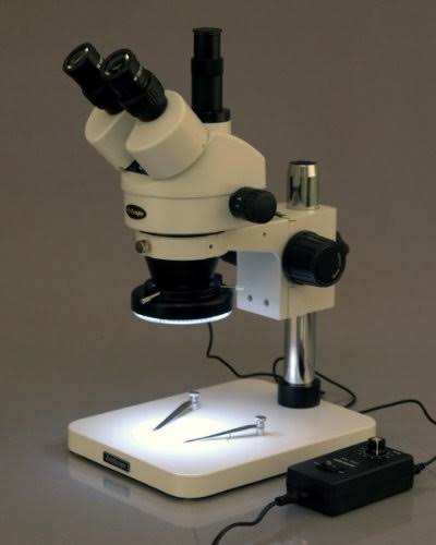 Trinocular Stereo Zoom Microscope with WH10x Eyepieces W36061