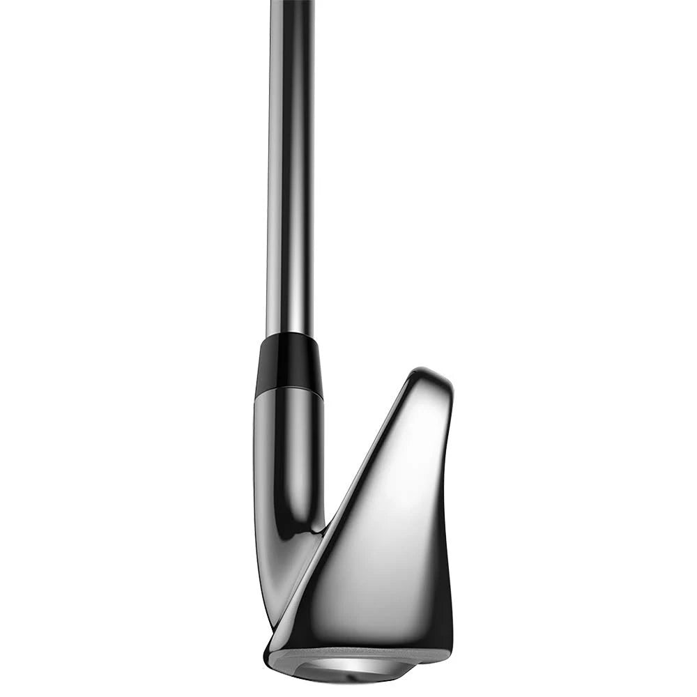 Individual Iron P858175