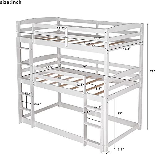 Queen Size Murphy Bed with Desk and 8 Shelves White T95174