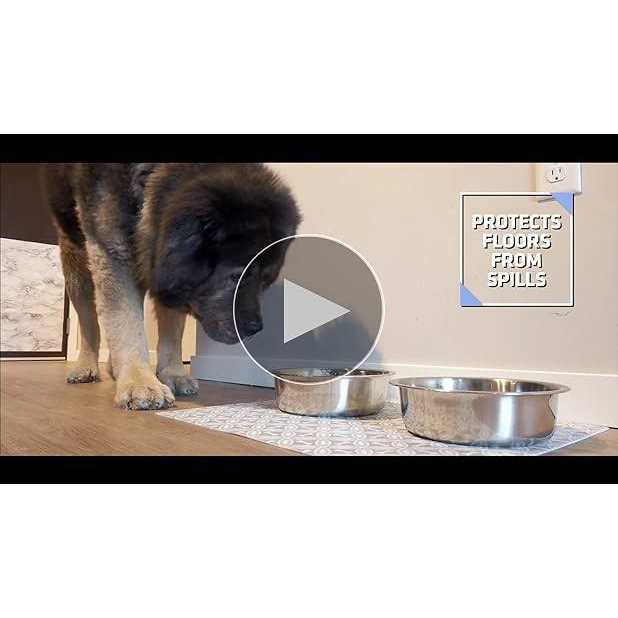 Personalized Pet Bowl Placemat F213
