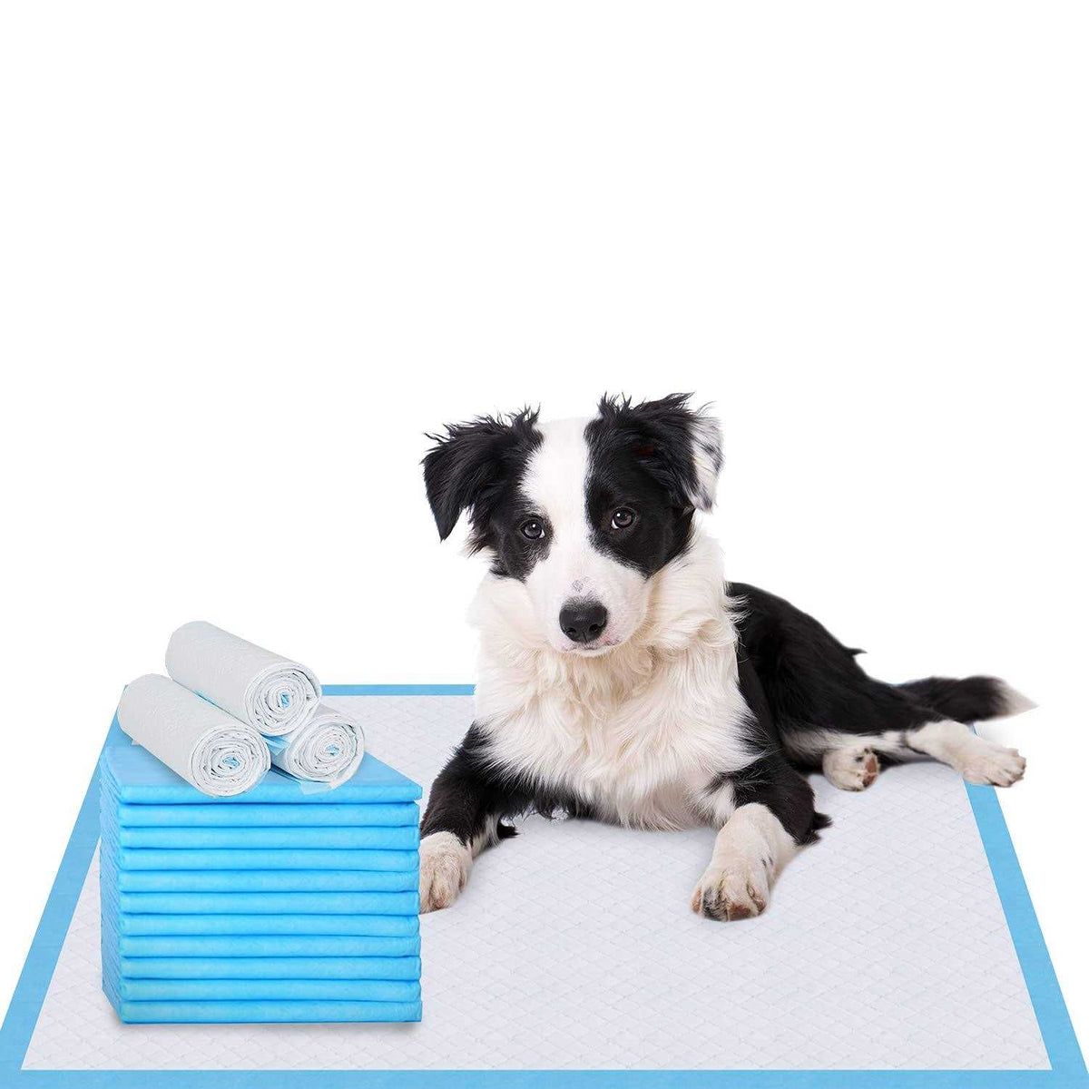 Super Absorbent & Leak-Proof Dog Pee Training Pads R595577