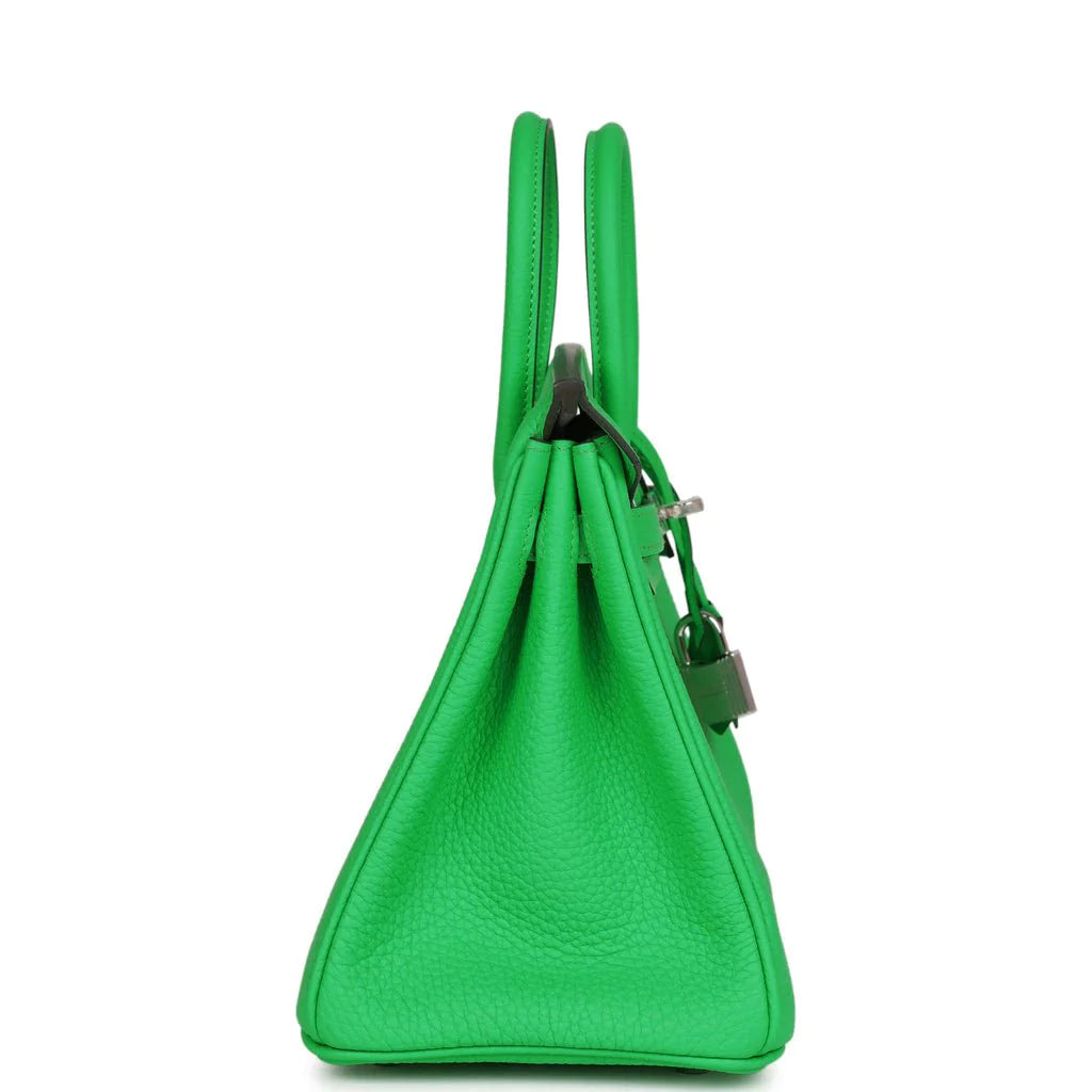 Birkin 25 Togo Palladium Hardware N24383
