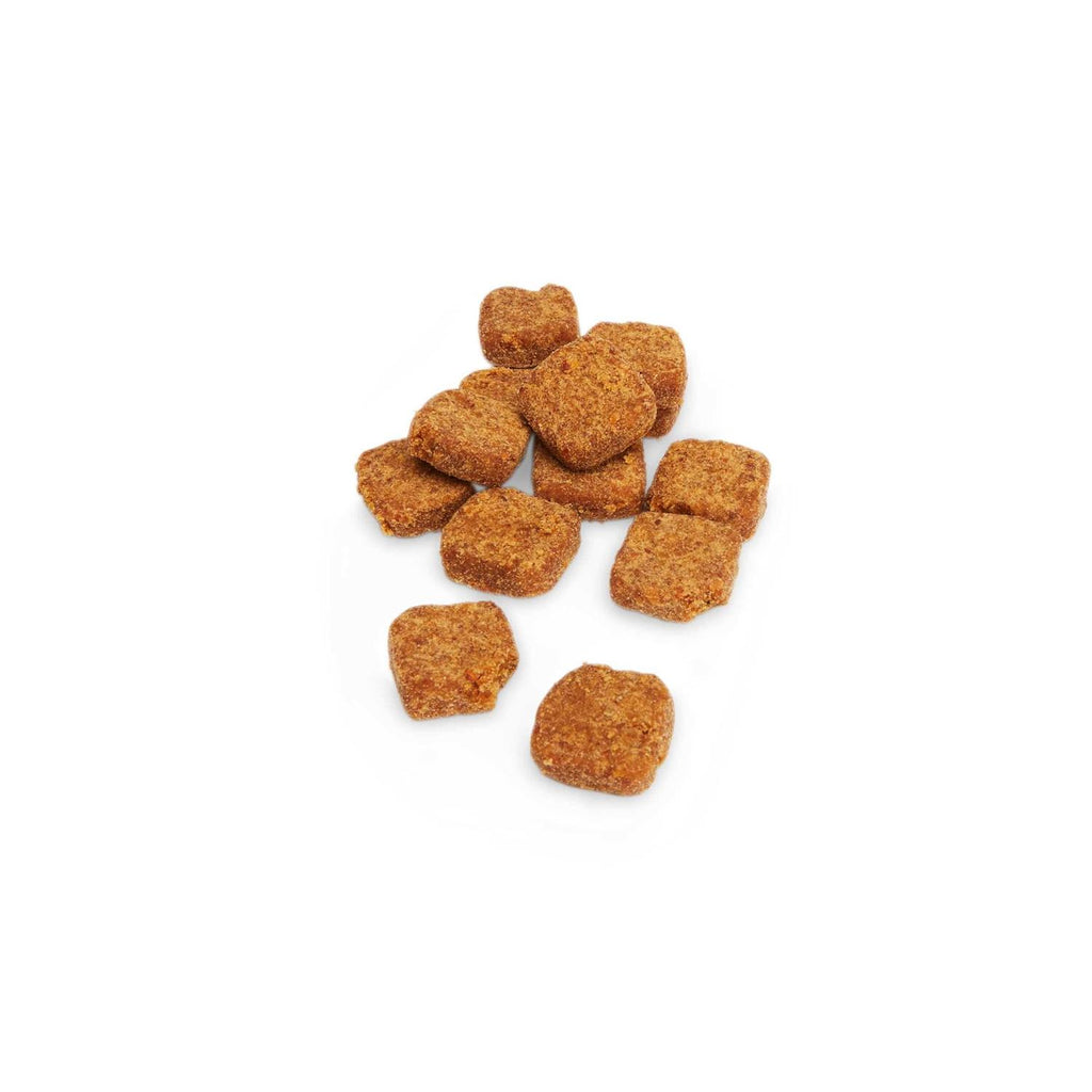 Digestive Enzymes with Probiotics Soft Dog Chews X560416