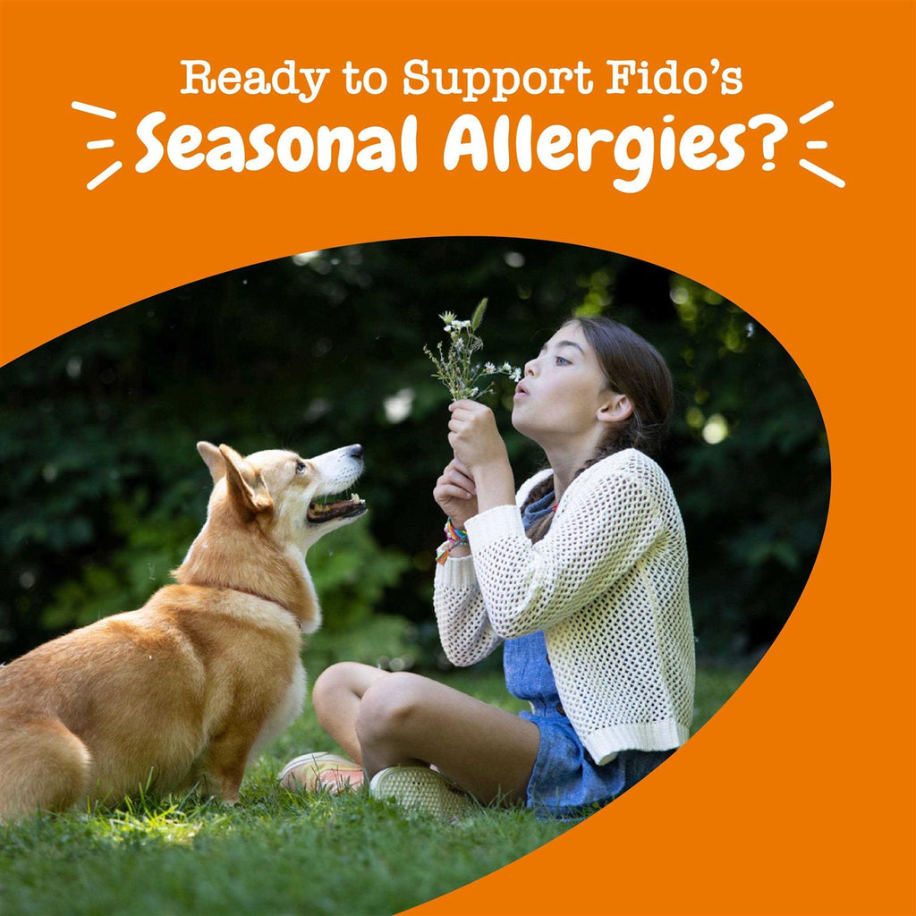 Lamb Allergy & Immune Mini Bites for Dogs K2103