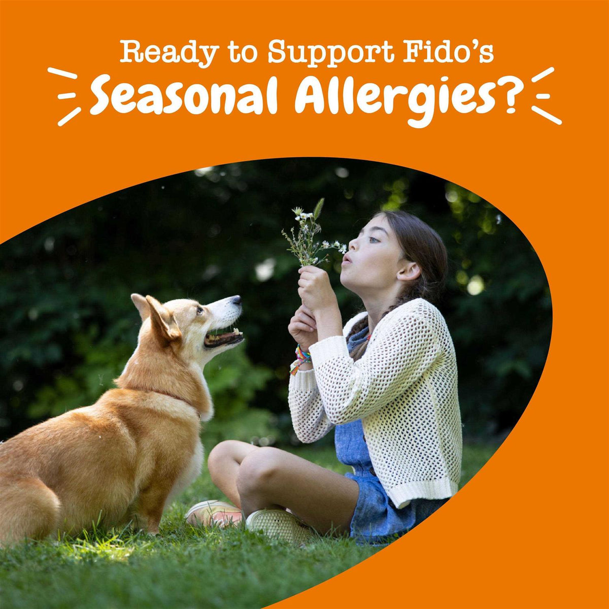 Lamb Allergy & Immune Mini Bites for Dogs K2103