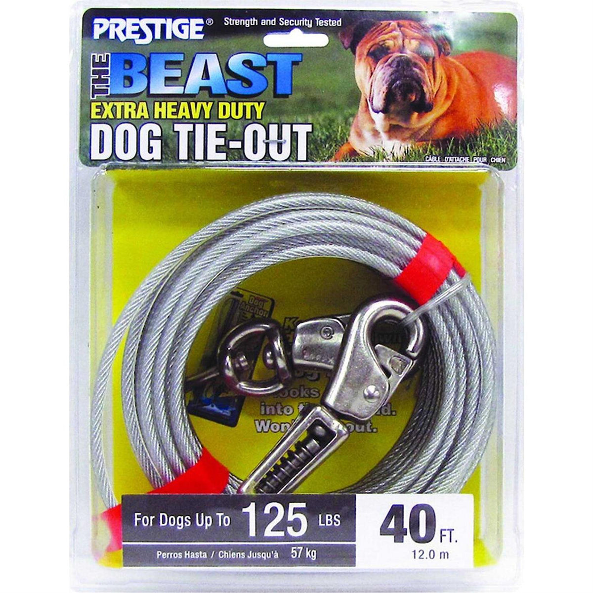 15ft XL Dog Tie-Out with Spring H486853