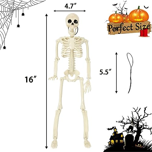 5.4Ft Posable Life Size Skeleton with Glowing Eyes N847