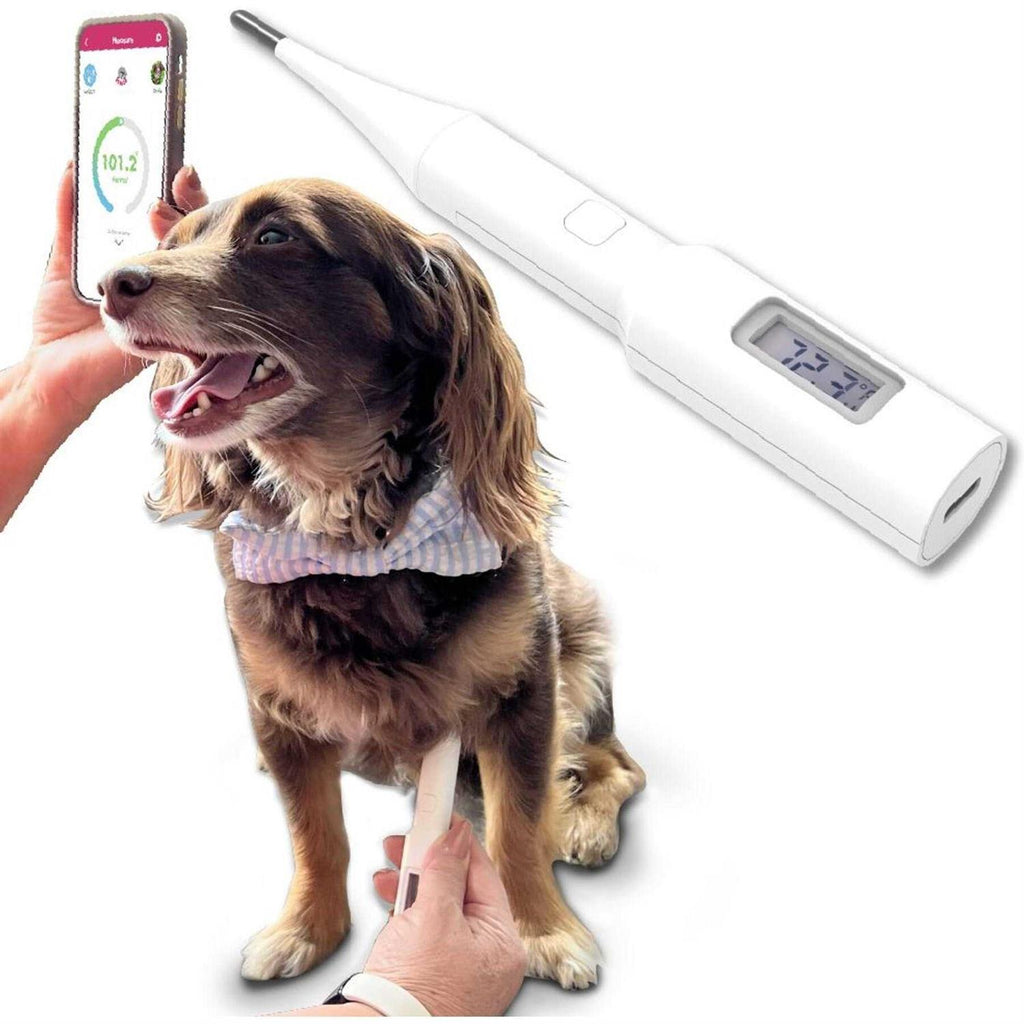 Underarm Pet Thermometer C52978