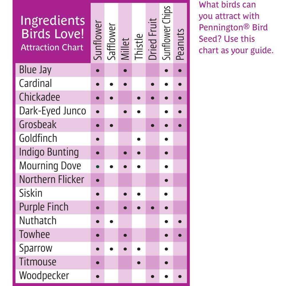 Fruit & Nut Blend Wild Bird Seed and Feed V43446