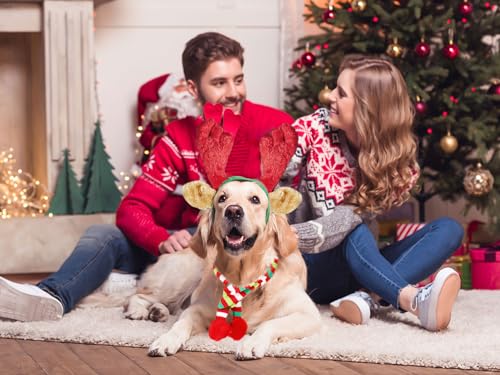 Christmas Reindeer Antler Headband for Dog P296
