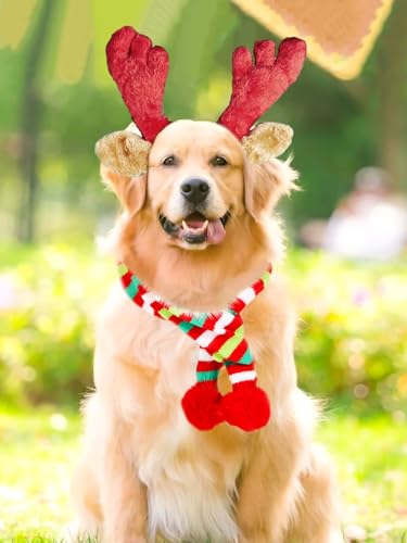 Christmas Reindeer Antler Headband for Dog P296