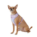 Dog Harness Q42006