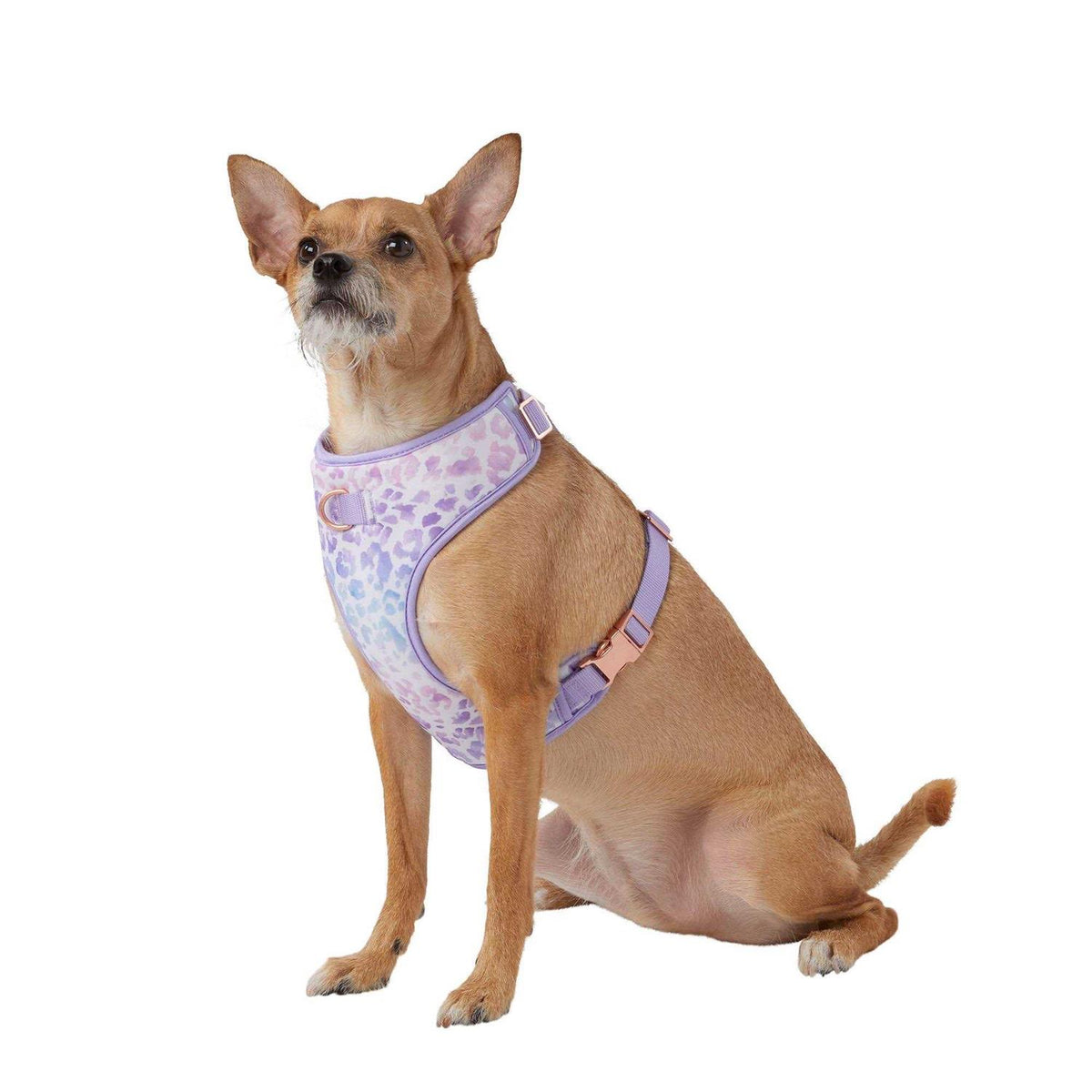 Dog Harness Q42006