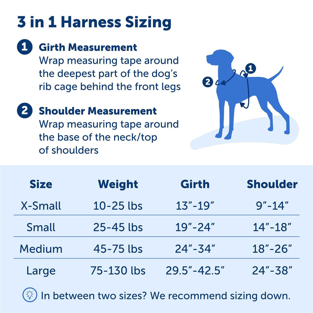 3 in 1 Harness P4450