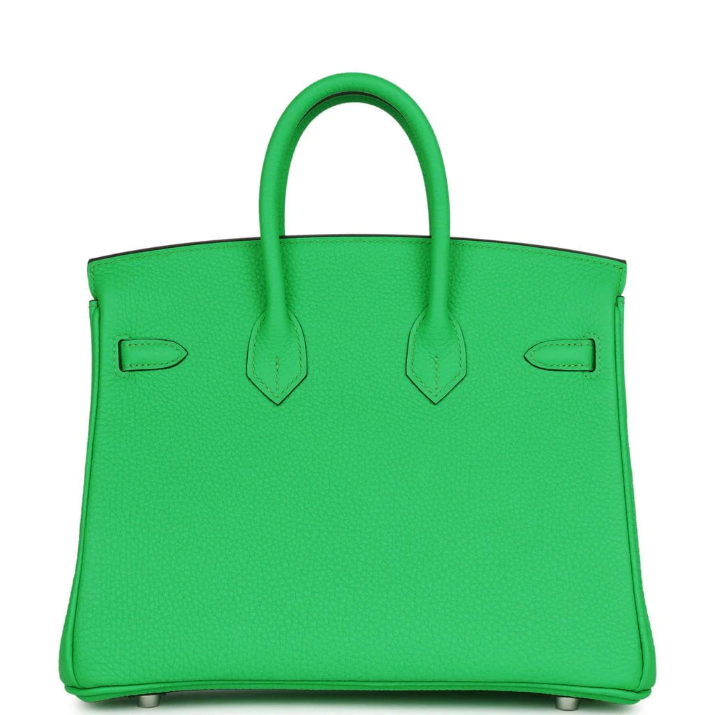 Birkin 25 Togo Palladium Hardware N24383