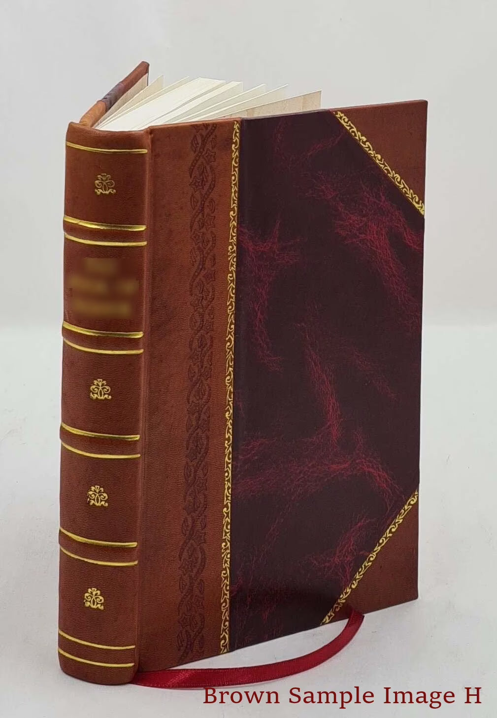 Leather Bound Book C985310