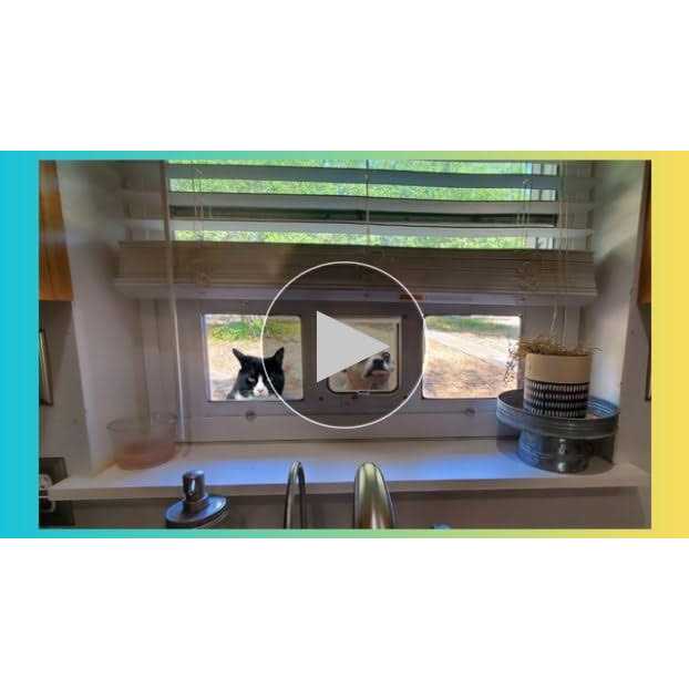 Aluminum Sash Pet Door E51003