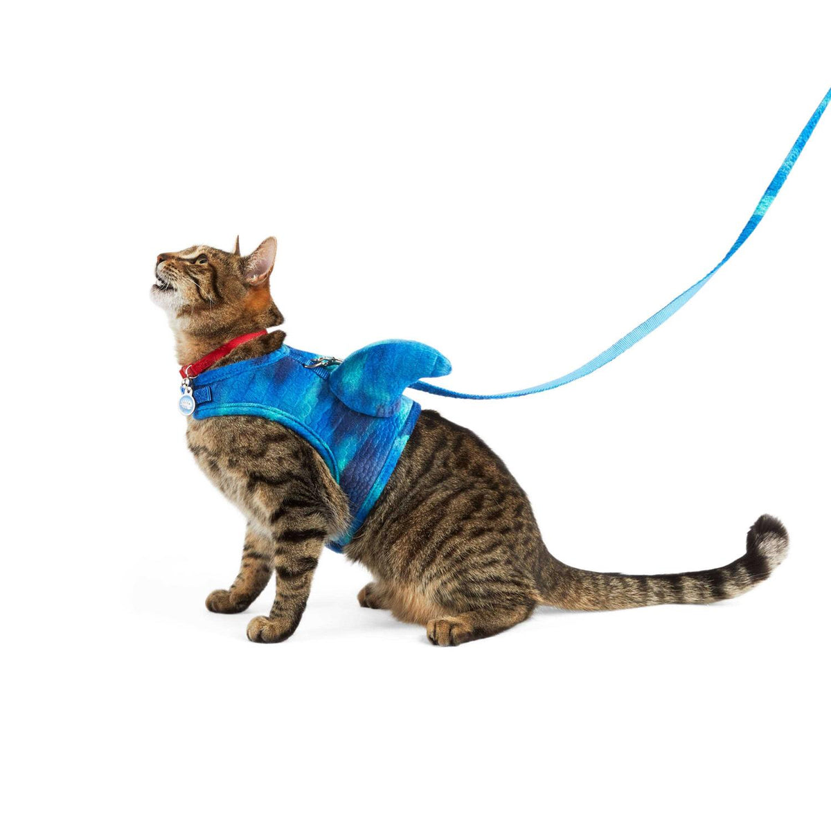 Cat Shark Harness Costume Q8205