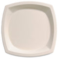 Ivory 10" Plates 125 pack Z1864